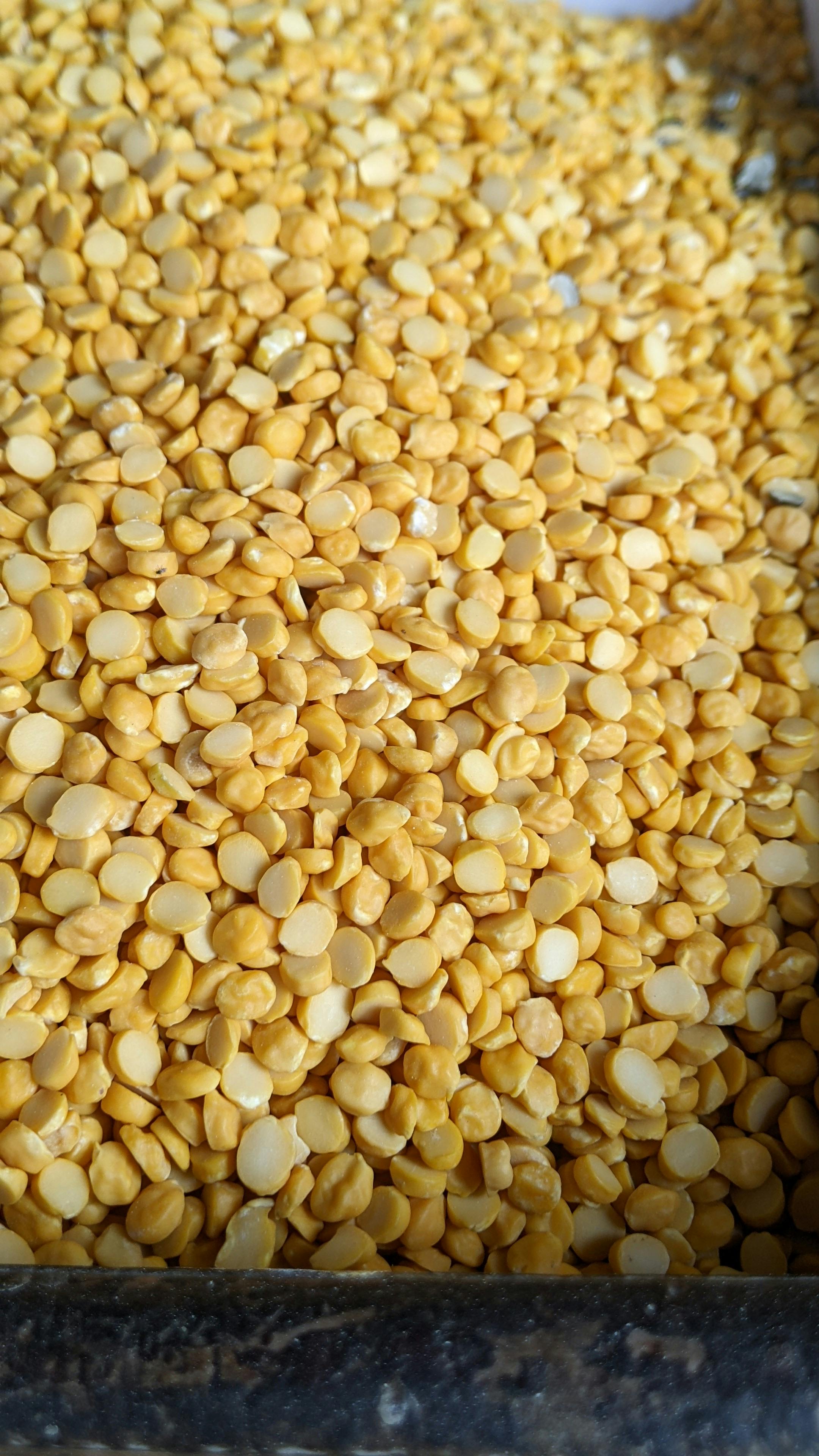 StyleNest - Roasted Chana Dal